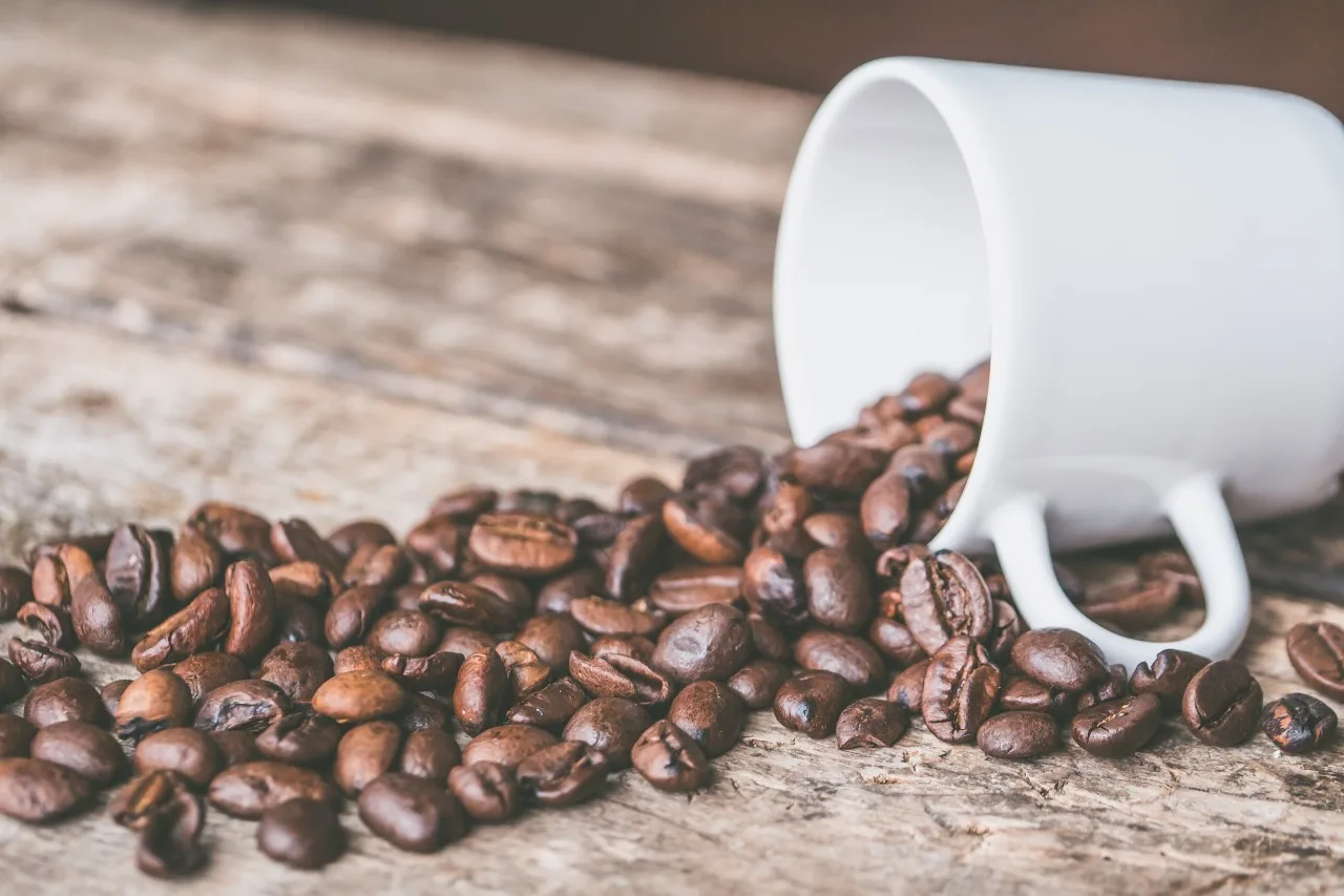3 Fakta Unik Kedelai dan Kopi yang Jarang Diketahui