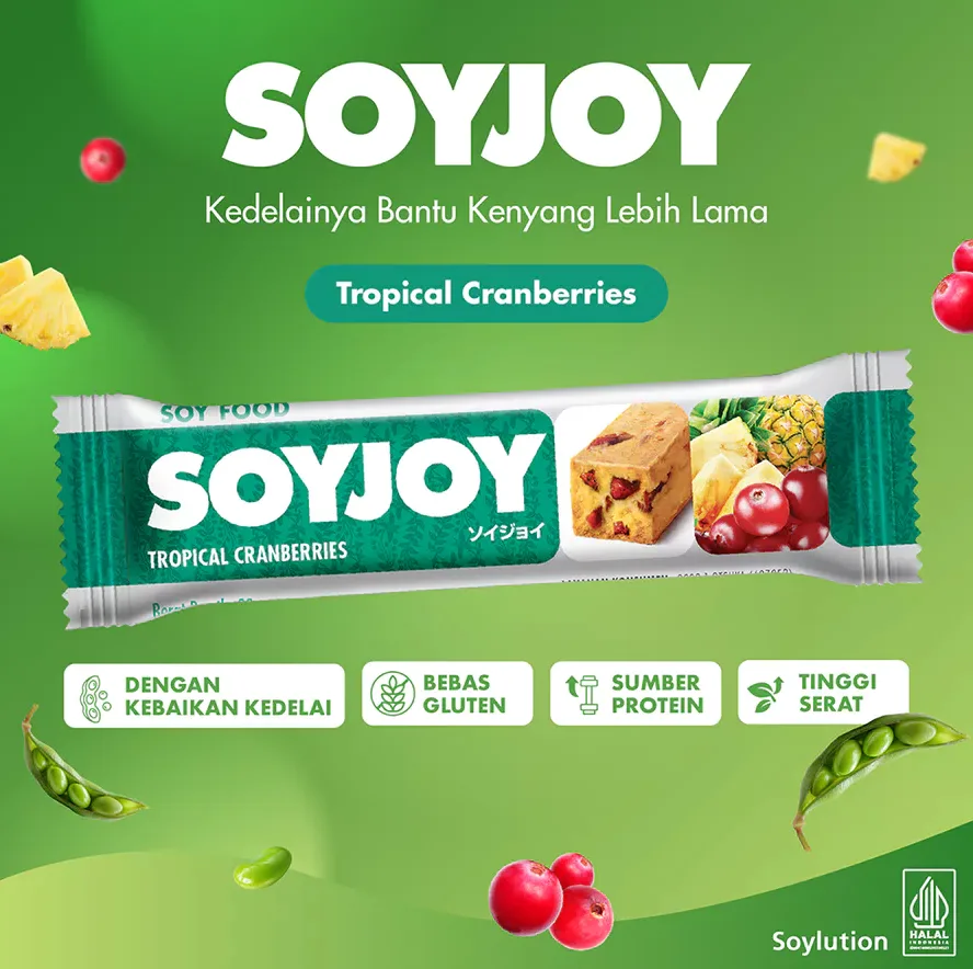 Snack Bar Kedelai Tropical Cranberries - Single